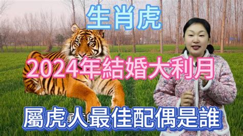 虎雞配|2024虎雞婚姻運勢